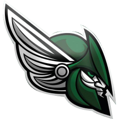 Brussels Black Angels logo