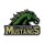 Doncaster Mustangs logo