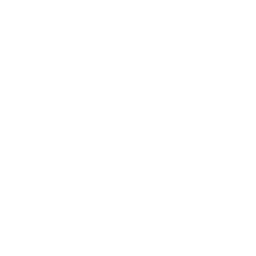 Frankfurt Galaxy logo