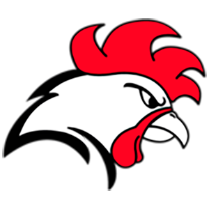 Helsinki Roosters logo