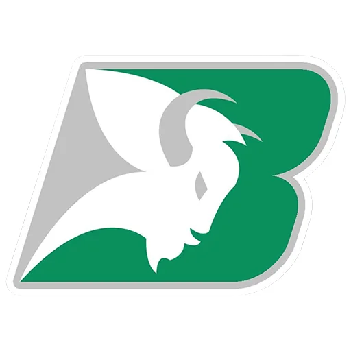 Istanbul Bisons logo