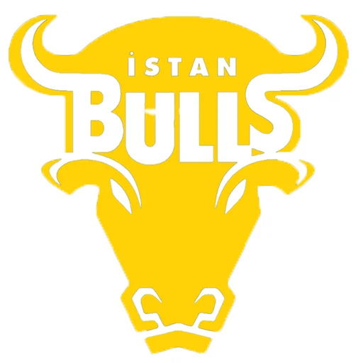 Istanbul Bulls logo
