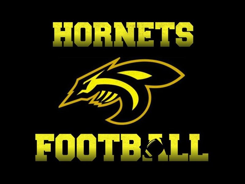 Jagodina Black Hornets logo