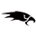 Merseyside Nighthawks logo