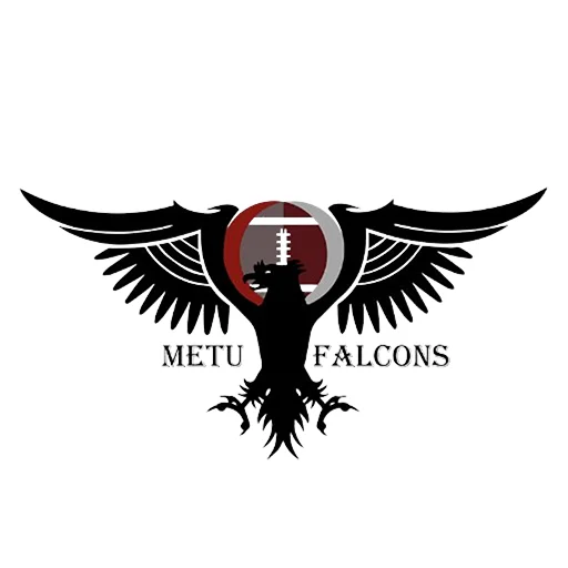 METU Falcons logo