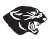 Panthers Parma logo