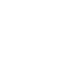 Innsbruck Raiders (AFL) logo