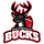 Rossendale Bucks logo
