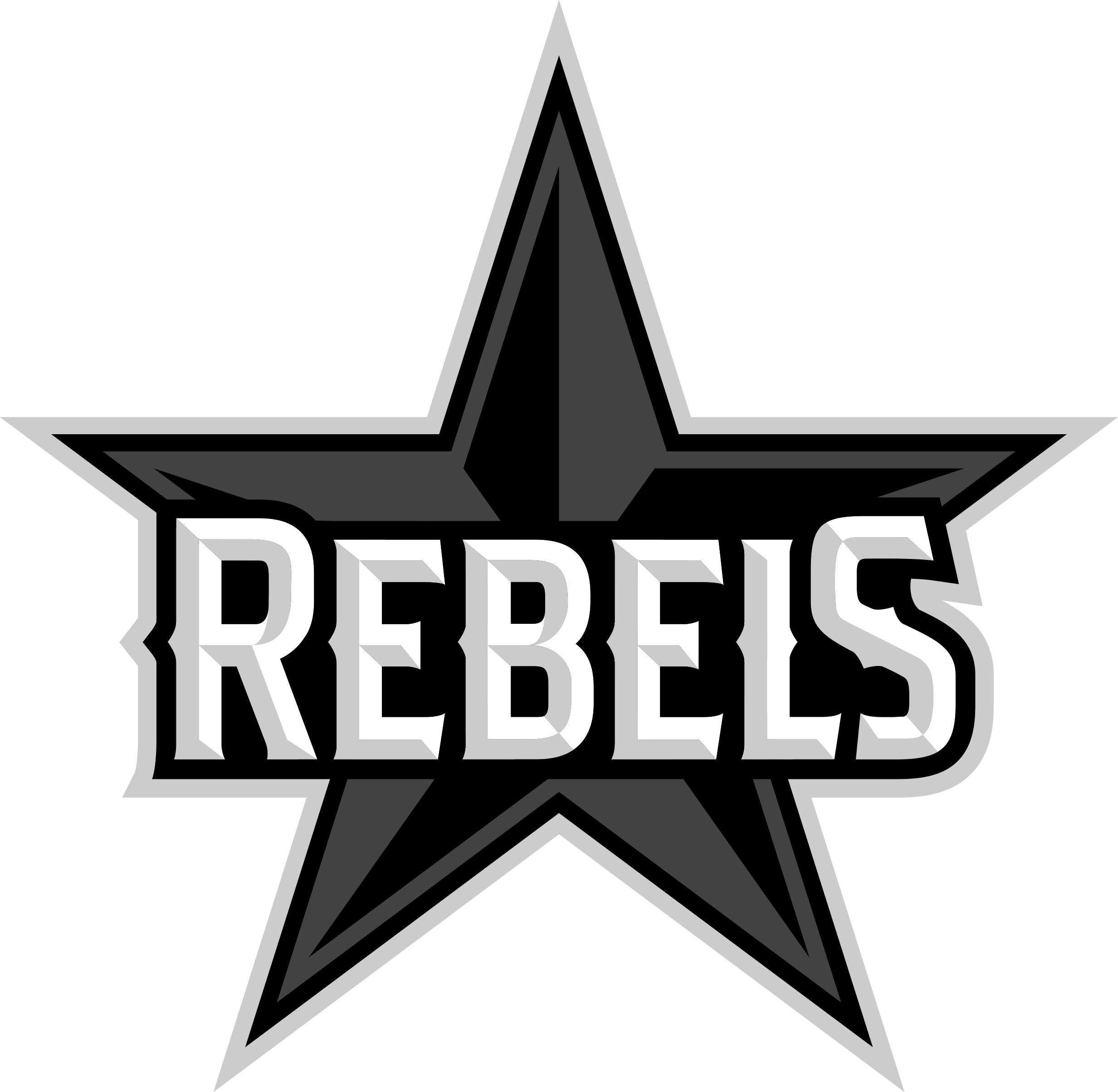 Silesia Rebels logo