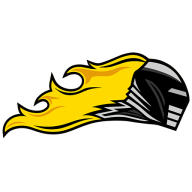 Vienna Knights logo
